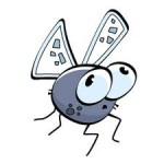 musca